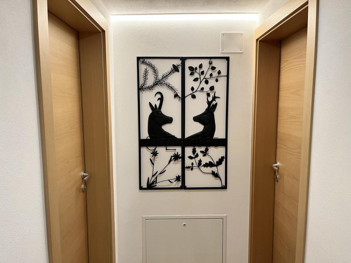 Ciasa Andy Apartment Badia  Luaran gambar